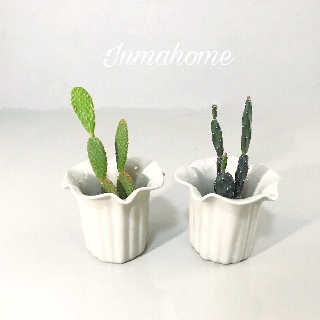 🌿 กระถางเซรามิก ขาวมุข ปากหยัก 4.5" l White Flower Pots With Saucer l กระถาง เซรามิก กระถางต้นไม้