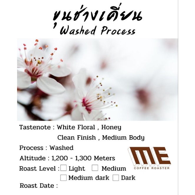 เมล็ดกาแฟขุนช่างเคี่ยน Washed process