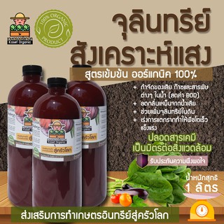 หัวเชื้อจุลินทรีย์สังเคราะห์แสงขนาด 1 ลิตร