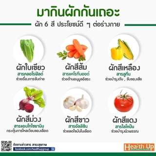 เมล็ดผัก พื้นบ้าน เมล็ดพันธ์ุพืช ผักสวนครัว 10 บาท