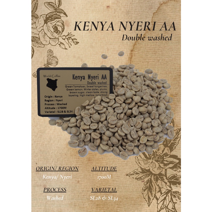 พร้อมส่ง เมล็ดกาแฟดิบ Kenya Nyeri AA washed process / สารเมล็ดกาแฟนอก/เมล็ดกาแฟสาร เคนย่า