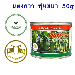 เมล็ดแตงกวา พุ่มชบา 50g ตราแพะทอง แตงกวาลูกผสม F1 HYBRID CUCUMBER