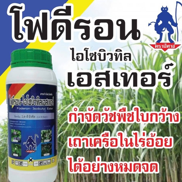โฟดีรอน กำจัดวัชพืชใบกว้าง เครือในไร่อ้อย