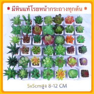 Cactus ต้นไม้ปลอม กระบองเพชร ไม้อวบน้ำ กระถางเซลามิก