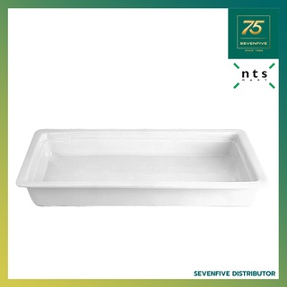 NTS ถาดอุ่นอาหารพอร์ซเลนและเซรามิก ถาดอุ่นอาหาร PORCELAIN FOOD FOR CHAFING DISH NTS1-CD-GN1