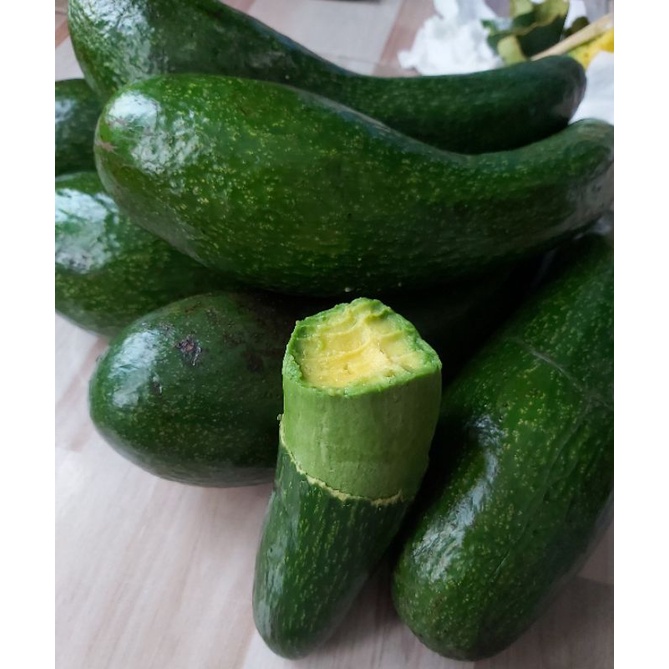 ต้นอโวคาโด034 เสียบยอดแท้จากเวียดนาม รับประกันสายพันธุ์แท้ มีปลายทาง แพคตะกร้า