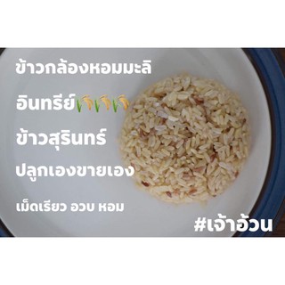 ข้าวกล้องหอมมะลิปลอดสาร(จ.สุรินทร์)ข้าวปลูกเองขายเอง