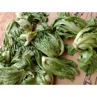 กิมจิยูนาน ผสมรากชู ผักกาดดองสูตรดั้งเดิมไร้สารกันบูด1000กรัมเผ็ดเปรี้ยว