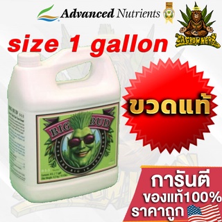 Big Bud ปุ๋ยAdvanced Nutrients ปุ๋ยเร่งดอกใหญ่ เพิ่มน้ำหนักดอกและผลผลิต ขนาด 1Gallon(4ลิตร) ขวดแท้โรงงาน100%