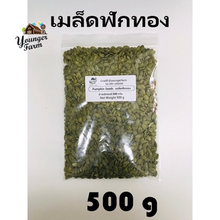 เมล็ดฟักทองดิบ  Pumpkin Seeds ยังเกอร์ ฟาร์ม