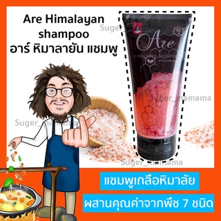 แชมพูป๋า Are Himalayan shampoo อาร์ หิมาลายัน แชมพู เกลือหิมาลัย แชมพูหมอนอกกะลา ป๋าสันติ หมอนอกกะลา santimanadee