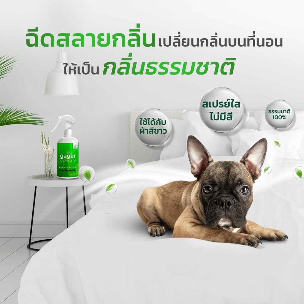 Gager (500ml.) กาเจอร์ สเปรย์ดับกลิ่น สเปรย์กำจัดกลิ่นและสลายกลิ่น ...