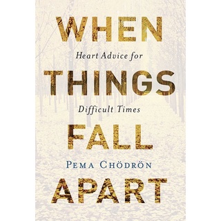 When Things Fall Apart: Heart Advice for Difficult Times