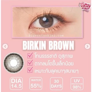 💖 Kitty Kawaii ๑ Birkin สายตา -00 ถึง -1000 brown gray Contactlens บิ๊กอาย คอนแทคเลนส์ ราคาถูก แถมตลับฟรี.
