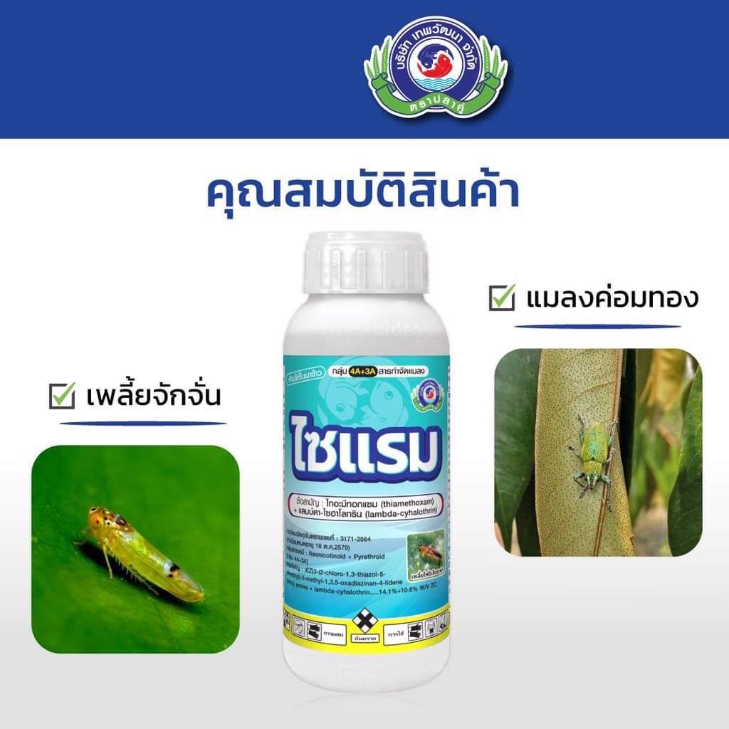ไซแรม  (1ลิตร )ไทอะมีทอกแซม+ แลมป์ดา-ไซฮาโลทริน  เพลี้ยไฟ เพลี้ยแป้ง เพลี้ยจักจั่น หนอน แมลงค่อมทอง มวลต่างๆ - รูปที่ 3