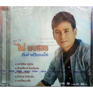 mp3, CD ไผ่ พงศธร ชุดที่11 ถิ่มอ้ายไว้ตรงนี้ล่ะ