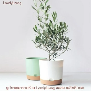 ที่ครอบกระถาง มินิมอล ทำจากพลาสติก มีถาดรองน้ำสองชั้น ถอดประกอบได้
