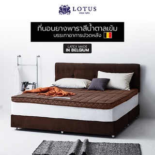 LOTUS ที่นอนยางพาราสีน้ำตาลเข้ม บรรเทาอาการปวดหลัง Latex Made In Belgium ส่งฟรี