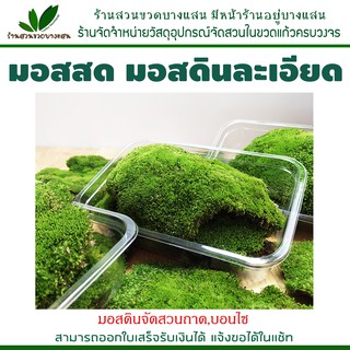 มีสินค้าพร้อมส่ง มอสสด มอสดินละเอียด กล่องละ 50 บาท มอสปูกระถางบอนไซ