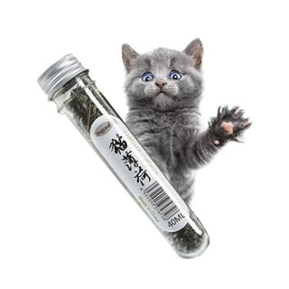 MJ - แคทนิปแมว Catnip ออร์แกนิคแบบหลอด