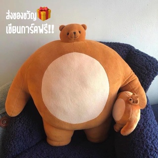 พร้อมส่ง🧸💓 ตุ๊กตาหมี หัวเล็ก อย่าแซวน้อง น้องแค่ล่ำบึก ตัวกลมอ้วน น่ากอด ของขวัญ ตุ๊กตา หมีล่ำ หมีหัวเล็ก