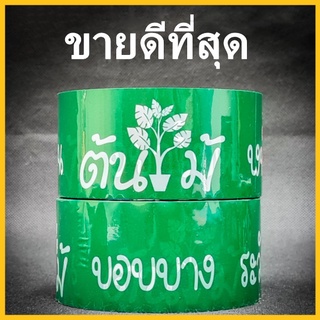 เทปต้นไม้ เทปกาวต้นไม้ เทปกาว เทปแพ็คต้นไม้ ระวังหัก บอบบาง อย่าโยน กว้าง 2 นิ้ว ยาว 45 หลา 1 ม้วน