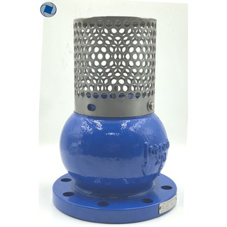 Foot Valve เหล็กหล่อ แบบหน้าแปลน ขนาด 2"