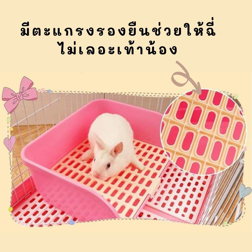 CatHoliday ห้องน้ำกระต่าย XL ห้องน้ำสัตว์เลี้ยง