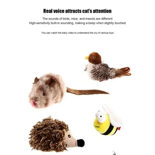 [🚚 พร้อมส่ง] Gigwi นกมีเสียง Interactive Cat Toys ของเล่นแมว ตุ๊กตารูปสัตว์พร้อมเสียงร้อง ตุ๊กตาแมว