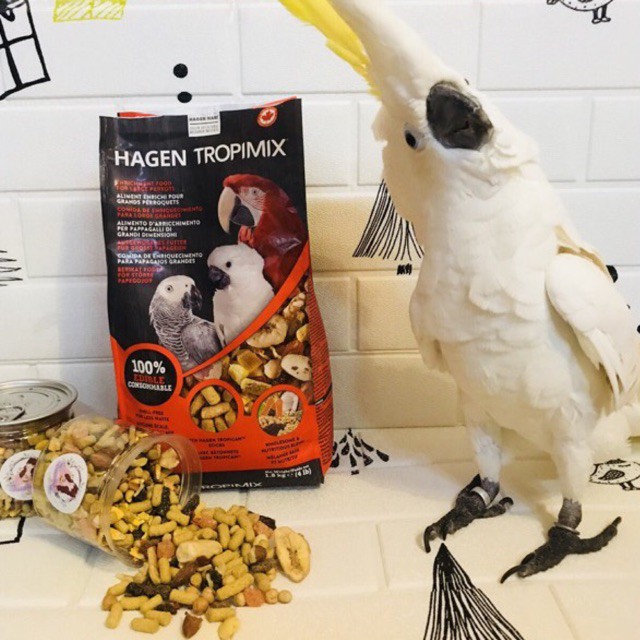อาหารนกสำเร็จรูป HAGEN TROPIMIX ผสมถั่วและผลไม้  แบ่งบรรจุ 230 กรัม