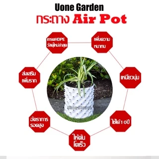 T034 PlantsCenter HDPE กระถางปลูกต้นไม้ Air Pot แบบหนา สีขาว กระถางมีรู กระถางต้นไม้เพิ่มราก