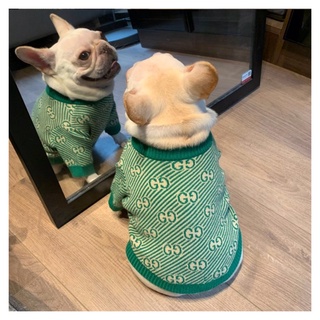 🐶🐱Gucci Style Sweater🐱🐶