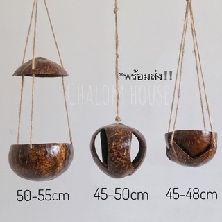 🥥 ที่แขวนต้นไม้ กะลามะพร้าว โมบายกะลา โมบายแขวนต้นไม้ กระถางต้นไม้ งาน handmade กระถาง กระถางแขวน หนวดฤาษี