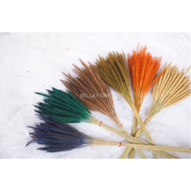 ถูกมาก!! หญ้าหางกระรอก ย้อมสีมีหลายสีให้เลือก พร้อมส่งจาก กทม เลยค่ะ