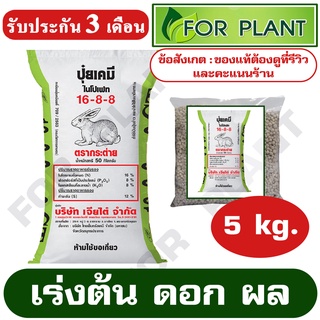 ปุ๋ย ตรากระต่าย/CT สูตร 16-8-8  บรรจุ 5 กิโลกรัม เร่งต้น ดอก ผล