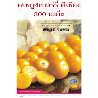 เมล็ดพันธุ์ เคพกูสเบอร์รี่ เหลือง (Cape Gooseberry) 300 เมล็ด