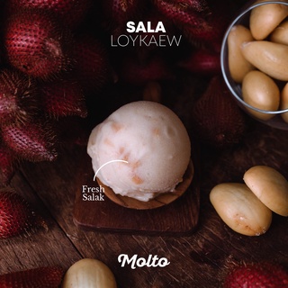 Sala Loykaew (ไอศกรีม สละลอยแก้ว 1 ถ้วย 16 oz.) - Molto premium Gelato