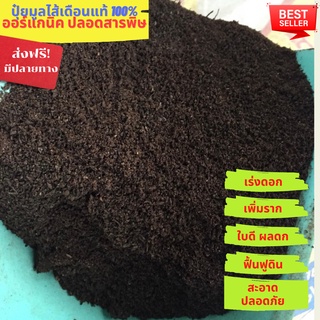 ส่งฟรี ปุ๋ยมูลไส้เดือนดินแท้ Vermicompost 100% ไม่ผสมดิน ใช้ขี้วัวนม ได้จากไส้เดือนดินชนิด African Night Crawler