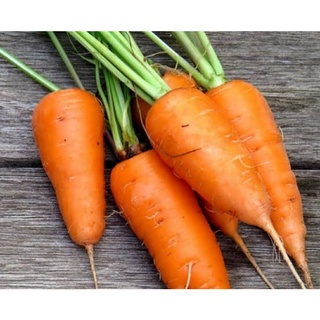 เมล็ดพันธุ์แครอทสีส้ม ชิน คุโรดะ (Shin Kuroda Carrot Seed) บรรจุ 100 เมล็ด ของแท้ คุณภาพดี ราคาถูก นำเข้าจากต่างประเทศ