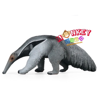 Monkey Toys - โมเดลสัตว์ ตัวกินมด ขนาด 13.50 CM (จากหาดใหญ่)