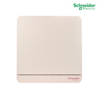 Schneider Electric สวิตช์หน่วงเวลา,  Time Delay Switch 4A, 250V, 8.6x8.6x1 cm. สีทอง รุ่น AvatarOn E - E8331PRL1_WG