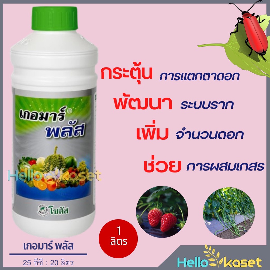 เกอมาร์ พลัส ส่งเสริมการออกดอกติดผล สูตรเปิดตาดอก ลดการหลุดร่วง เพิ่มผลผลิต ขนาด 1 ลิตร