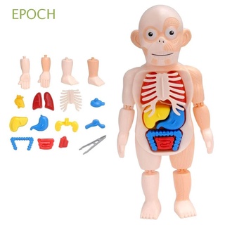 Epoch โมเดลตุ๊กตามนุษย์ 3D ของเล่นเสริมการเรียนรู้เด็ก