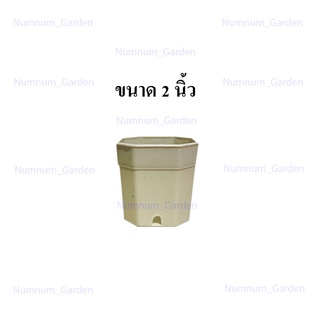 กระถางแคคตัส ทรงแปด 8 เหลี่ยม ขนาด 2 นิ้ว กระถางกระบองเพชร กระถางพลาสติก