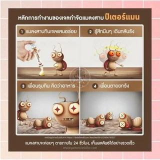 ส่งทันที📌 เจลแมลงสาบ ปีเตอร์แมน peter man กับดักแมลงสาบ ยาฆ่าแมลงสาบ กำจัดแมลงสาบ แมลงสาบ แมลงสาป