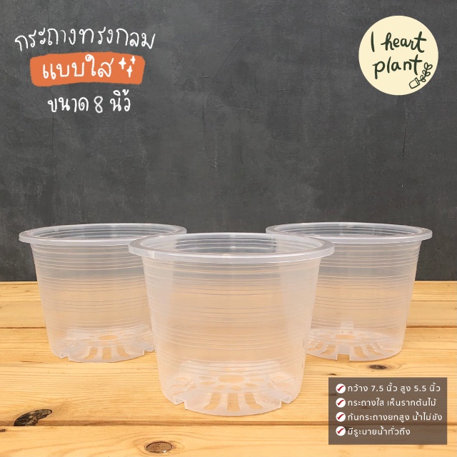 กระถางใส 8 นิ้ว ทรงกลม ชำราก ส่องราก ใส่ไม้ใบ ไม้มงคล ไม้ประดับ สลัด กระถางใส | Transparent Pot 8 In