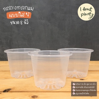 กระถางใส 8 นิ้ว ทรงกลม ชำราก ส่องราก ใส่ไม้ใบ ไม้มงคล ไม้ประดับ สลัด กระถางใส | Transparent Pot 8 Inch