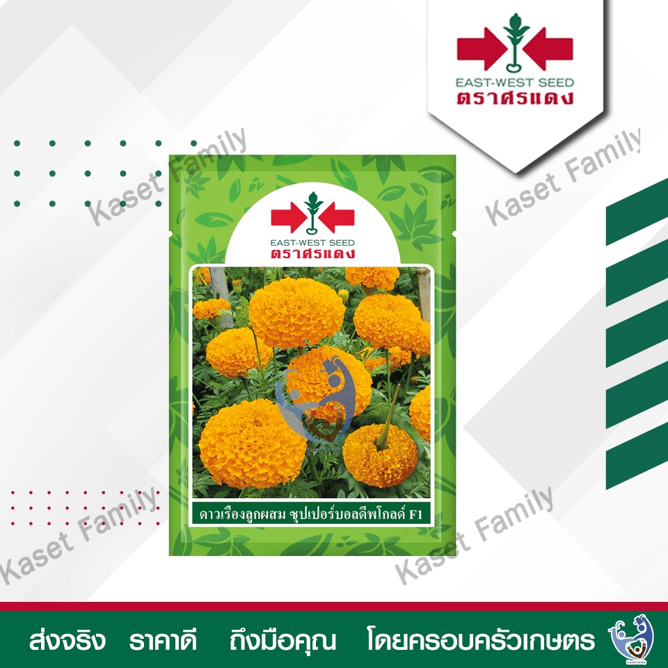 ดาวเรือง ซุปเปอร์บอลดีพโกลด์  บรรจุ 1,000 เมล็ด เมล็ดดอกไม้ ตราศรแดง ราคา ถูกที่สุด ดีลบีเคเค รูปภาพหลัก