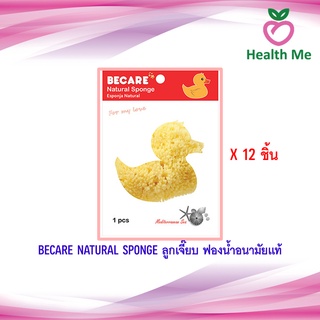 Becare ฟองน้ำ ลูกเจี๊ยบ ของแท้ 100% Natural Sponge ฟองน้ำอนามัย ฟองน้ำแท้จากธรรมชาติ 12 ชิ้น