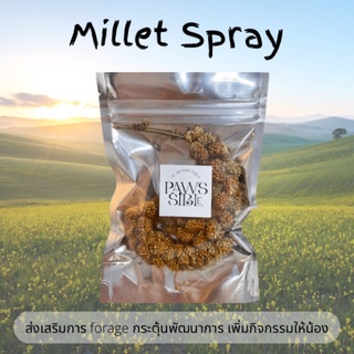 [Paws-sible] ซื้อ 4 แถม 1 Millet Spray รวงข้าวฟ่าง